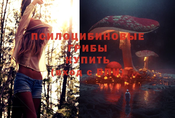 гидра Анжеро-Судженск